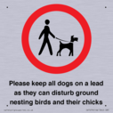 please-keep-all-dogs-on-a-lead-as-they-can-disturb-ground-nesting-birds-and-thei~